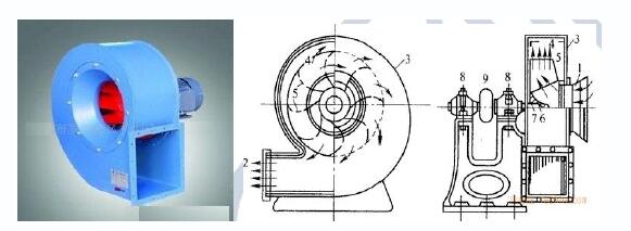 2022һ(j)r(ji)̎b̡֪R(sh)c(din)L(fng)C(j)